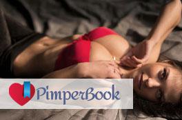 Pimperbook: Why still loneliness? When finding love is so easy!